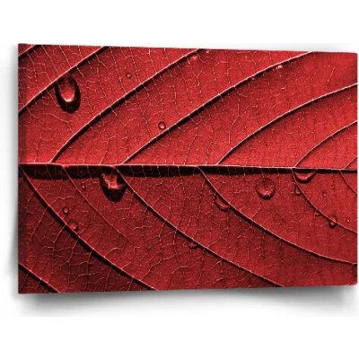 Sablio Obraz Červený list - 60x40 cm – Hledejceny.cz