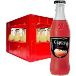 Cappy Jahoda vratné sklo 24 x 250 ml – Zboží Dáma