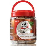 Leovet Pamlsky pro koně Leoveties mrkev lněný olej 1,1 kg – Zbozi.Blesk.cz