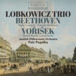 Janacek Philharmonic Orch - Beethoven Triple Concerto CD – Hledejceny.cz