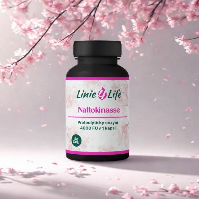 Linie4Life NATTOKINASE 4000 FU v 1 kapsli podpora kardiovaskulárního zdraví bez plnidel 90 dní 90 kapslí – Hledejceny.cz