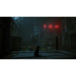 Stray – Zboží Dáma