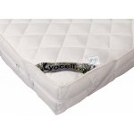 2G Lipov Chránič matrace Lyocell-Tencel / bavlna 90x220 – Hledejceny.cz