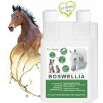 Dromy BOSWELLIA Serrata liq. 1000 ml – Hledejceny.cz