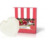 Dedra HORKÉ MALINY sójový vosk do aromalampy Parfumia 40 ml – Hledejceny.cz