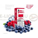 Adams vape Salt Blueberry Raspberry 10 ml 10 mg – Hledejceny.cz