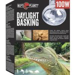 Repti Planet Daylight Basking Spot 100 W 007-41004 – Zboží Dáma