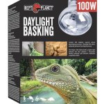 Repti Planet Daylight Basking Spot 100 W 007-41004 – Zboží Mobilmania