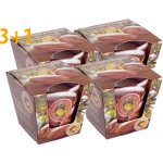 Bartek Candles Wellness & Beauty Argan Oil 115 g – Sleviste.cz