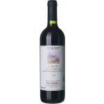 Terre di Vignale Barbera del Monferrato suché červené 1997 0,75 l (holá láhev) – Hledejceny.cz