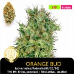 Drskunk Orange Bud Feminizováno semena neobsahují THC 1 ks – Zboží Dáma