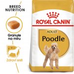 Royal Canin Poodle Adult 1,5 kg – Hledejceny.cz