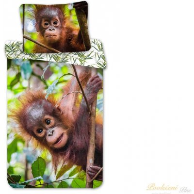 Jerry Fabrics Povlečení fototisk Orangutan 02 140x200 70x90 – Zboží Mobilmania