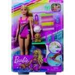 Barbie Dreamhouse Adventures plavkyně – Zboží Dáma