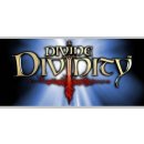 Divine Divinity