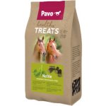 Pavo Healthy Treats Kopřiva 1 kg – Zbozi.Blesk.cz