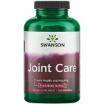Swanson Joint Care 120 kapslí – Hledejceny.cz
