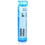 LOBELIA INFLATA POR 9CH GRA 1X4G – Hledejceny.cz