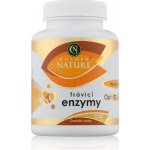 Golden Nature Trávicí enzymy Opti7Digest+Kurkuma 100 kapsúl – Hledejceny.cz