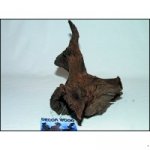 Decor Wood Kořen DriftWood Bulk S 24-29 cm – Hledejceny.cz