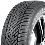 Nokian Tyres Snowproof 2 205/55 R16 91H – Hledejceny.cz