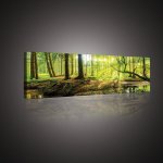 Postershop Obraz na plátně: Lužní les - 145x45 cm – Hledejceny.cz
