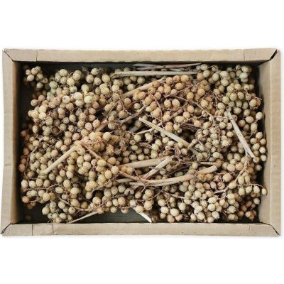 Canella Small Natural 35 ks – Hledejceny.cz