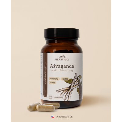 Herbs Energy Ašvaganda extrakt z kořene 800 mg 2 x 90 kapslí – Hledejceny.cz