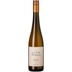 Wieninger Wiener Riesling BIO Wien 2023 0,75 l (holá láhev) – Hledejceny.cz