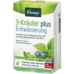 Kneipp Werke 3 bylinky na odvodnění 60 tobolek – Hledejceny.cz