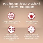 Purina ONE Mini Adult hovězí s rýží 0,8 kg – Hledejceny.cz