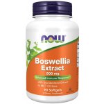 Now Foods Boswellia Extrakt 500 mg 90 softgelových kapslí – Hledejceny.cz