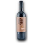 Karpatská Perla Cabernet Sauvignon 2019 12,5% 0,75 l (holá láhev) – Hledejceny.cz