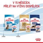 ROYAL CANIN MAXI Puppy mokré pro velká štěňata 10 x 140 g – Sleviste.cz