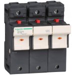 SCHNEIDER ELECTRIC SCHNEIDER Odpínač VARIO DF223VC 3P 125A pojistkový DF223VC – Hledejceny.cz