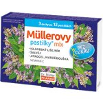 DR. MÜLLER Müllerovy pastilky mix bez cukru 3 druhy po 12 kusech – Hledejceny.cz