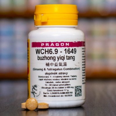 Pragon WCH6.9 1649 36 tablet – Hledejceny.cz