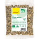 Wolfberry Dýňové semínko loupané BIO 100 g – Sleviste.cz