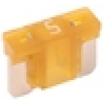 Pojistka mini nízkoprofilová 5A – Sleviste.cz