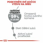 Royal Canin Oral Care 8 kg – Sleviste.cz