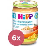 HiPP BIO Zelenina s těstovinami a šunkou 6 x 220 g – Zboží Dáma