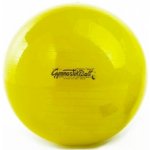 PEZZI GymBall 42 cm – Zboží Dáma
