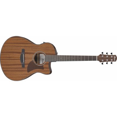 Ibanez AAM54CE – Zboží Mobilmania