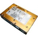 Seagate Cheetah 15K.5 300GB, 3,5", 15000rpm, SAS, ST3300655SS