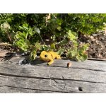 ZOU3D Agama vousatá - Mini zoo – Hledejceny.cz