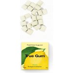 True gum citrón 21 g – Hledejceny.cz
