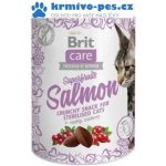 Brit Care Cat Snack Superfruits Salmon 100 g – Sleviste.cz