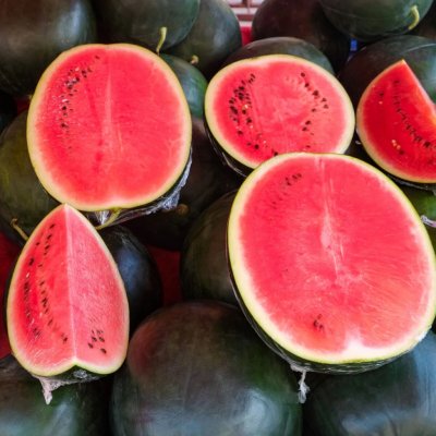 Meloun vodní Sugar baby - Citrullus lanatus - semena melounu - 7 ks – Sleviste.cz