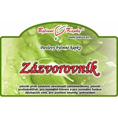 Bylinné kapky Zázvorovník zázvor bylinné kapky tinktura ze zázvoru 50 ml – Hledejceny.cz