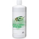 Pino esence pro sauny Silvapin eukalyptus/mentol 1000 ml